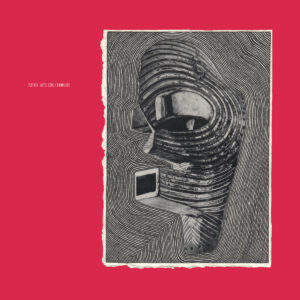 Pletnev – Aztec Code / Daywalker