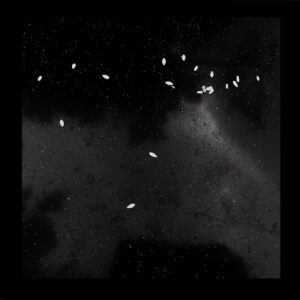 Tribe Of Colin – Age of Aquarius