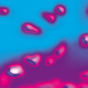 Nic Arizona Presents Anjuna Niv ‎– Doll Pin