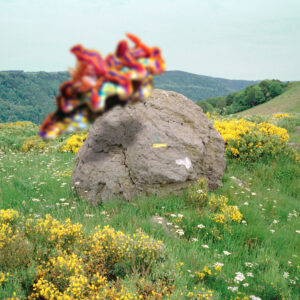 Joakim ‎– Second Nature