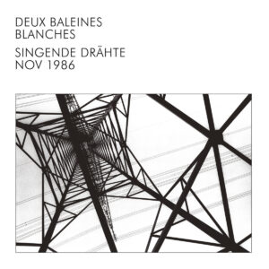 Deux Baleines Blanches ‎– Singende Drähte