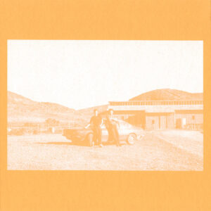 The Frenzied Bricks ‎– (Can I) Bridge The Gap / Entropy