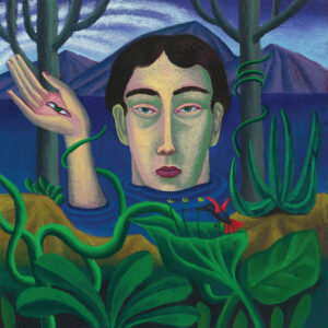 Misha Sultan ‎– The Red Fern Road