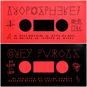 Troposphere 7 ‎– Grey Parrots