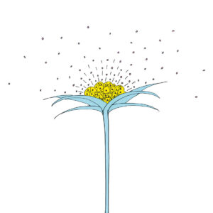 Mkwaju Ensemble ‎– Ki-Motion