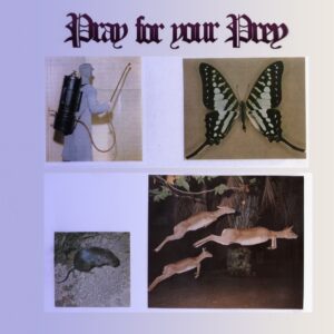 Giovanni Di Domenico, Gonçalo Almeida, Balázs Pándi, Γιώτης Δαμιανίδης – Pray For Your Prey