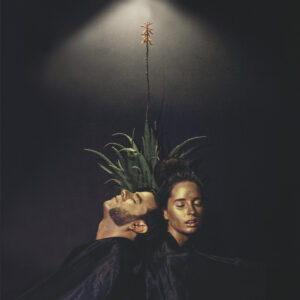 Dame Area – Ondas Tribales