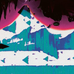 Shackleton & Wacław Zimpel ‎– In The Cell Of Dreams